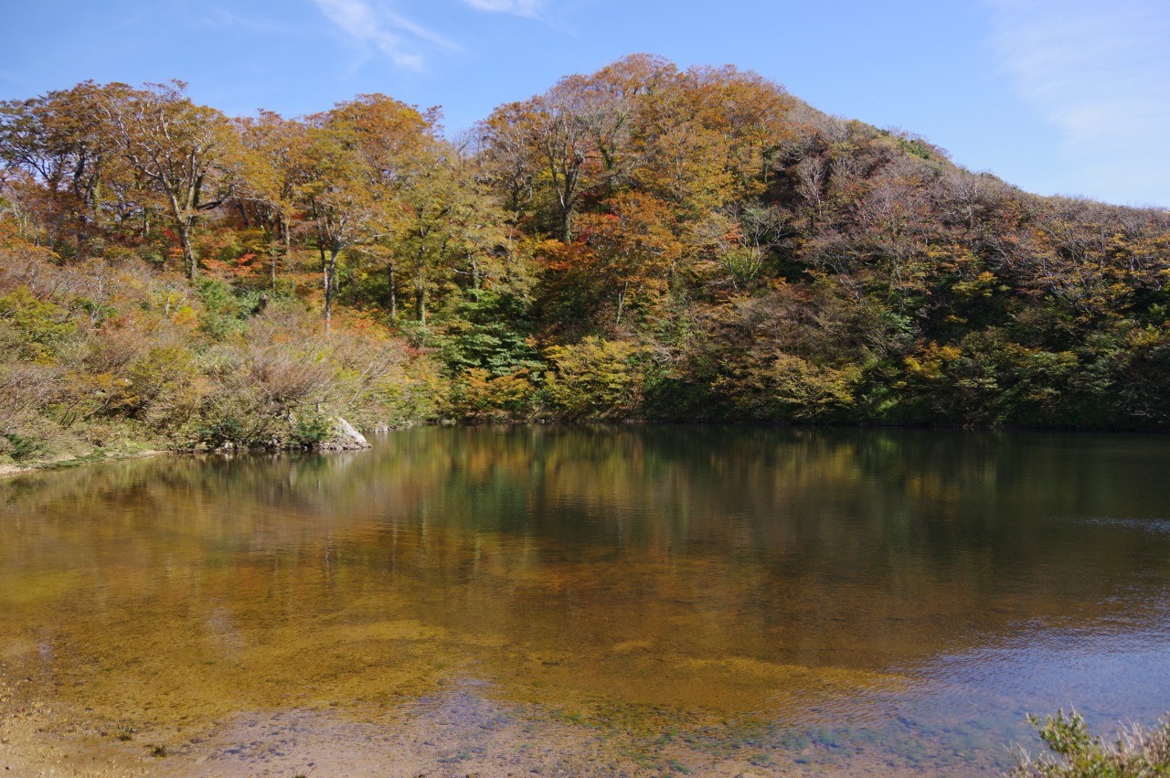 夜叉ヶ池の紅葉